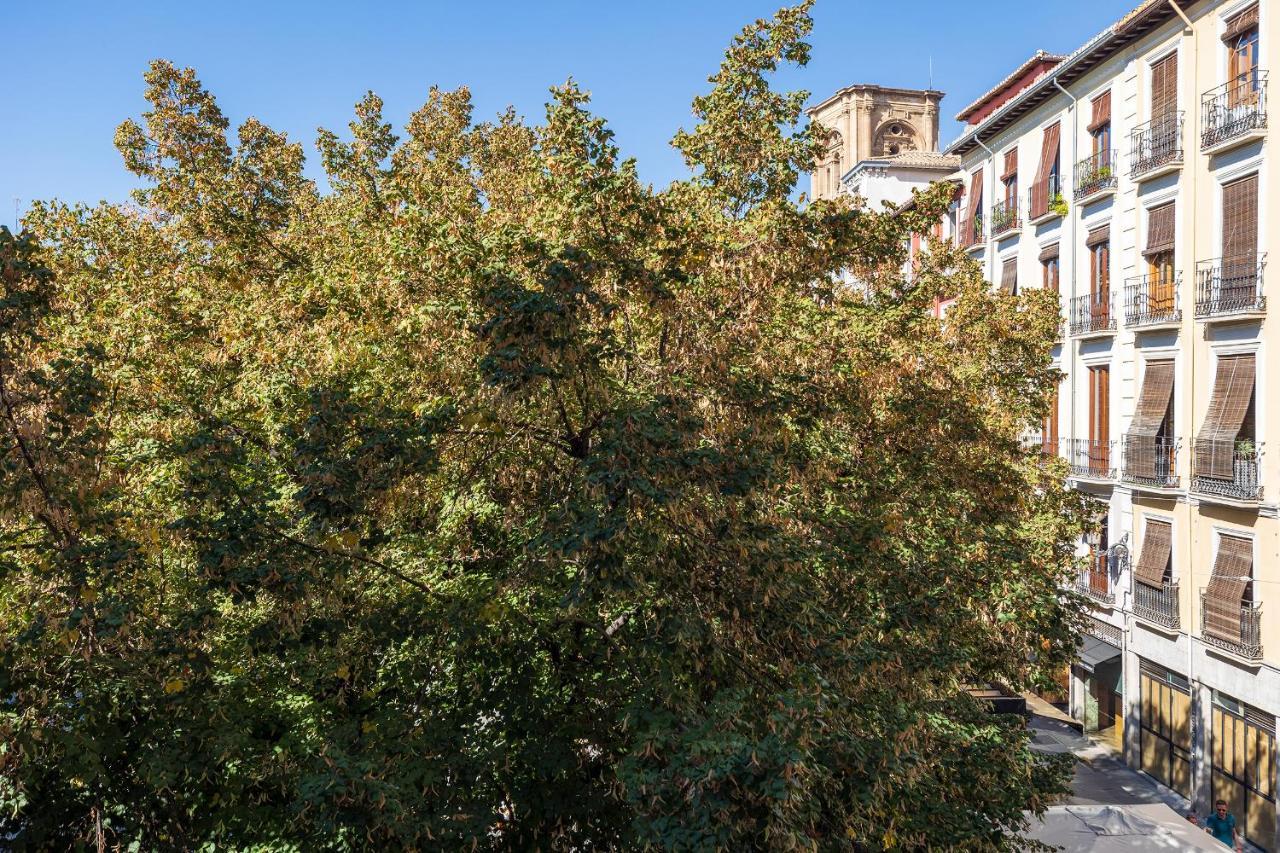 Dreaming Bib Rambla - Free Parking Apartment Granada Exterior photo